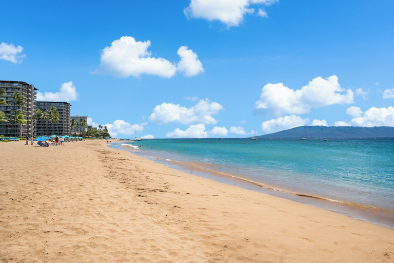 Others 4, Oceanview 2BD Condo Steps to the Pool - Kaanapali Shores 529, Maui