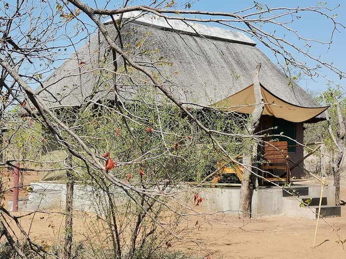 Others 5, Letaba Trails Camp- Greater Kruger, Mopani