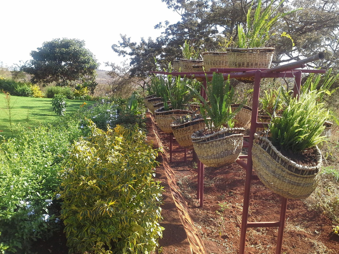 Others 3, Acacia Farm Lodge, Karatu