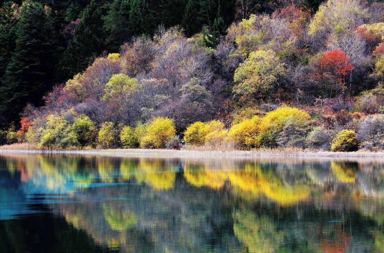 Others 2, Qinghe Courtyard Jiuzhaigou, Ngawa Tibetan and Qiang