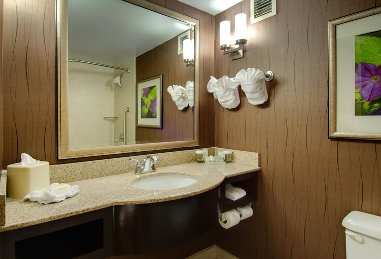 Bathroom 4, Hilton Garden Inn Raleigh-Durham Airport, Wake