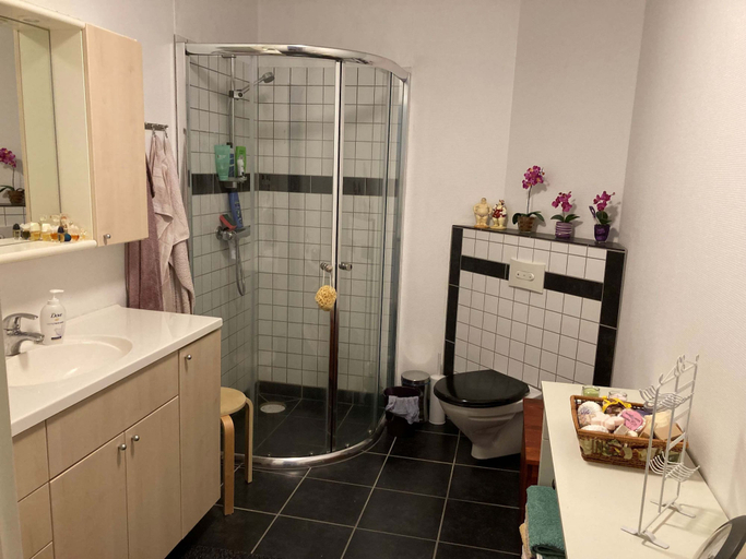 Bathroom, Heimasta Horn 30,3,1, Tórshavn