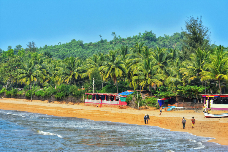 Others 3, The Hosteller Goa, Morjim, North Goa