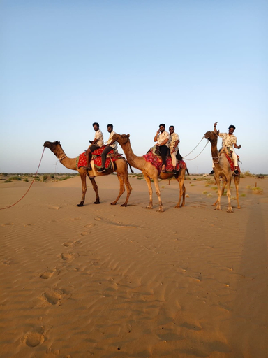 Others 5, Wild Heritage Desert Camp Jaisalmer, Jaisalmer