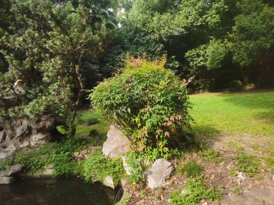 Others 5, Lotus Tangyuese Homestay (Changshu Road), Shanghai