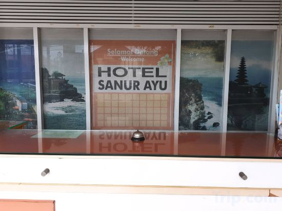 Others 4, Sanur Ayu Hotel, Denpasar