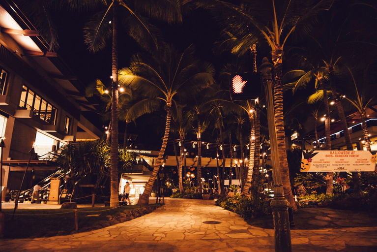 Others 4, Hawaiian Relaxing Vacation by Beach W/full Kitchen Short Walk to Dine & Shop, Honolulu