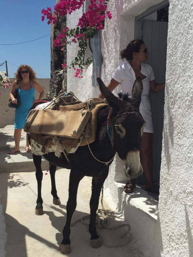 Others 5, Charming 1705 Castle House in Pirgos Kallistis, Greece, South Aegean
