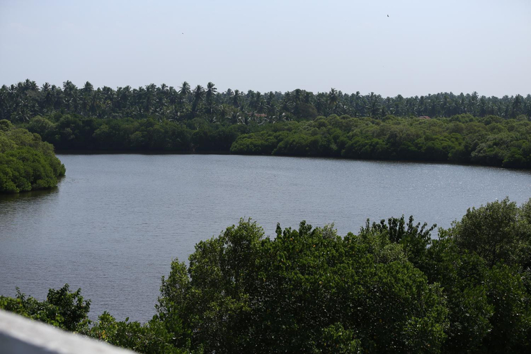 Others 5, Lagoon View Beach, Mahawewa