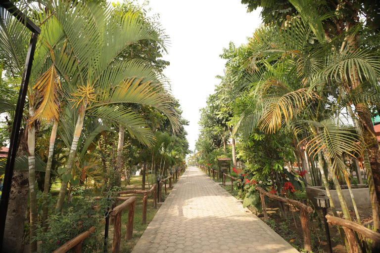 Others 4, Narayani Vista - Near Chitwan National Park, Lumbini