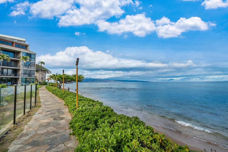 Others 5, Oceanview 2BD Condo Steps to the Pool - Kaanapali Shores 529, Maui