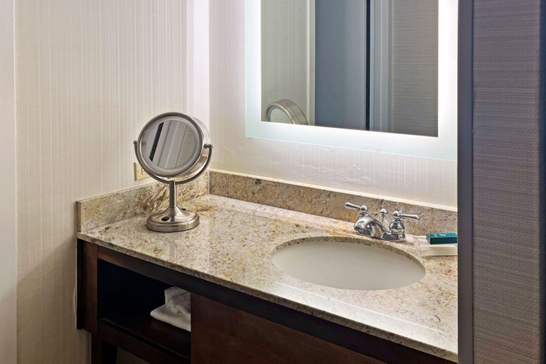 Bathroom 4, Hilton Ocala, Marion
