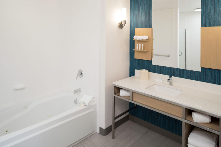 Bathroom 5, Hilton Garden Inn Sioux City Riverfront, Dakota