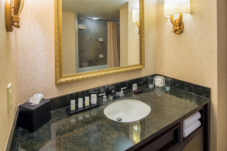 Bathroom 5, Embassy Suites by Hilton Portland Downtown, Multnomah