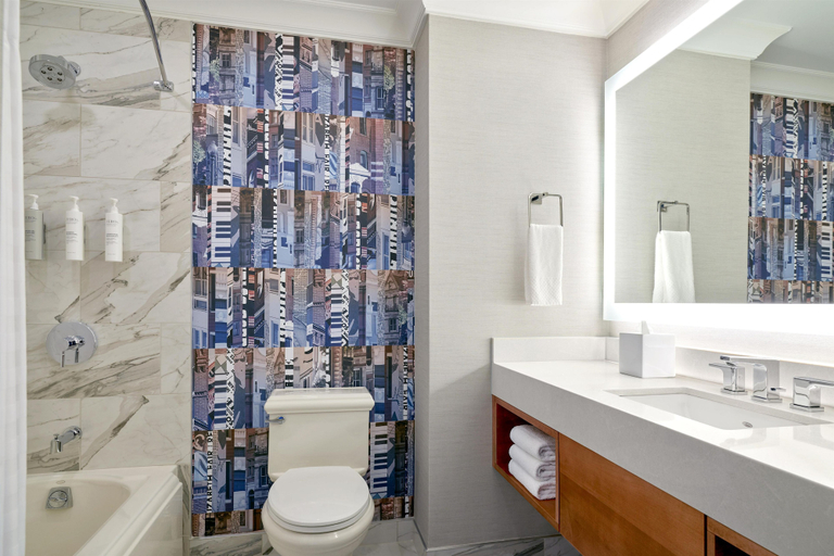 Bathroom 4, Embassy Suites by Hilton Washington D.C. – Convention Center, Washington D.C.