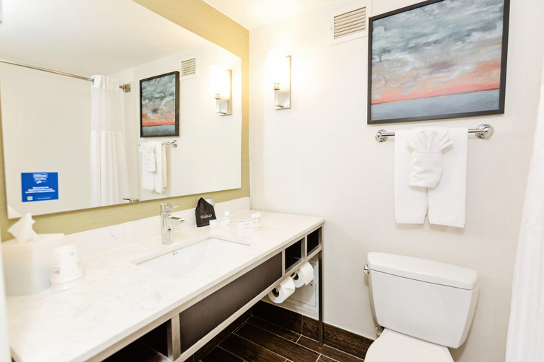 Bathroom 4, Hilton Garden Inn Temple Medical Center, Bell