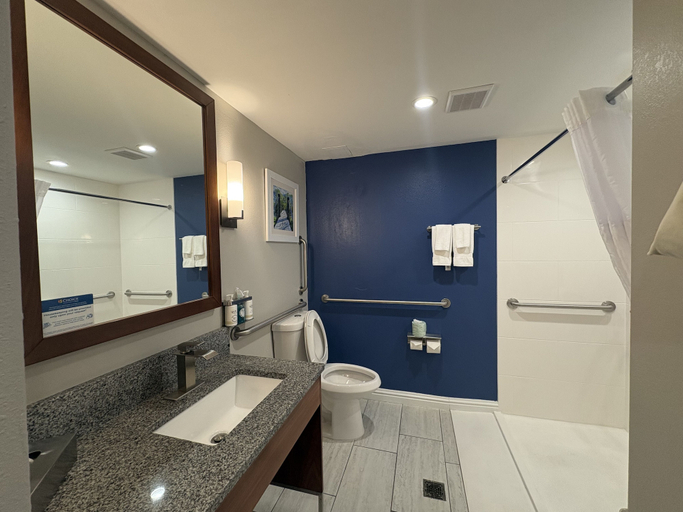 Bathroom 4, Comfort Suites St. Louis - Sunset Hills, Saint Louis