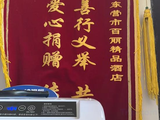 Others 3, Bella Boutique Hotel (Dongying Xicheng Wanda Plaza), Dongying