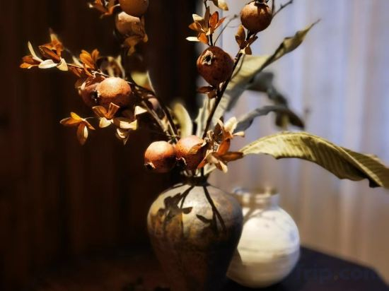 Others 2, Changde ligao 1919 Lakeside Hotel (Daxiaohe Street), Changde