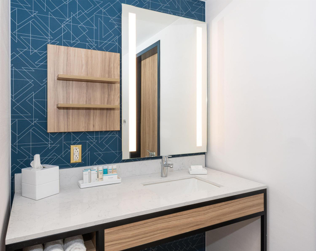 Bathroom, Hilton Garden Inn Flint Downtown, Genesee