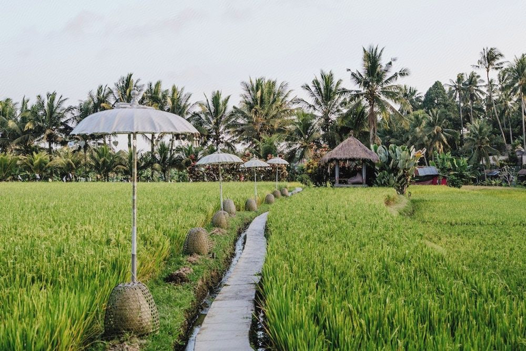 Others 5, Mathis Retreat Ubud, Gianyar