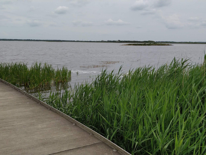 Others 2, 4 Star Holiday Home in Henne, Varde