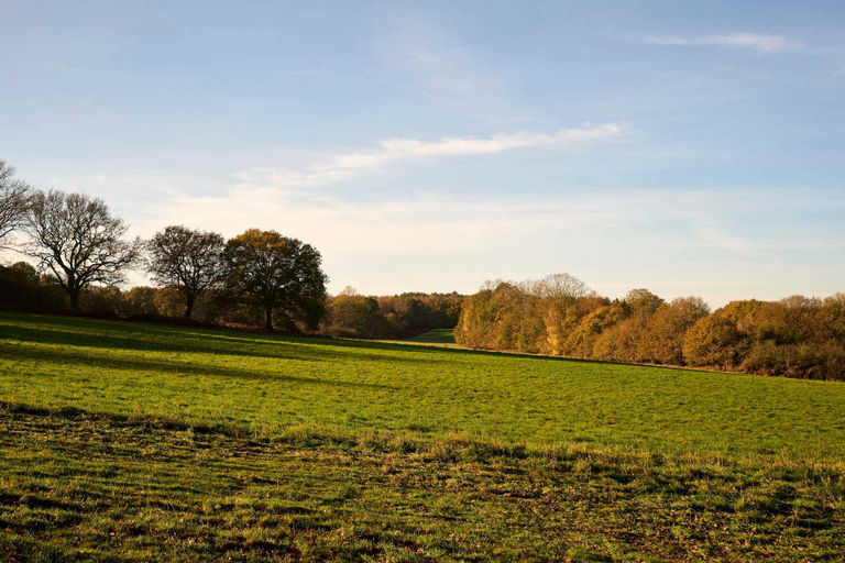 Others 5, Host and Stay | Florence, Norfolk