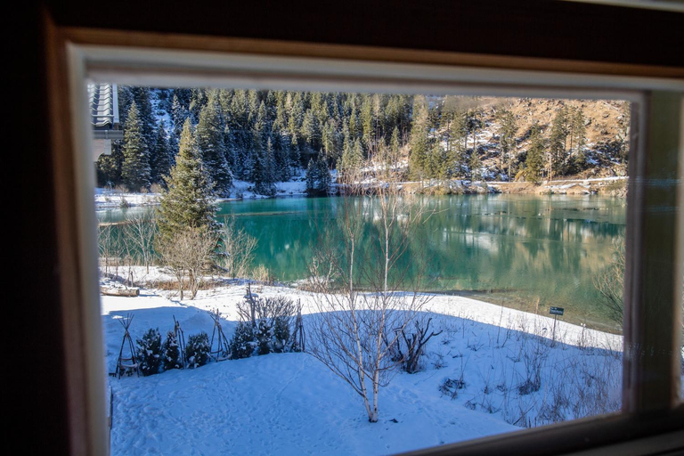 Sport & Beauty 4, Tauerndorf Enzingerboden Ski in&out - Steinbock Lodges, Zell am See