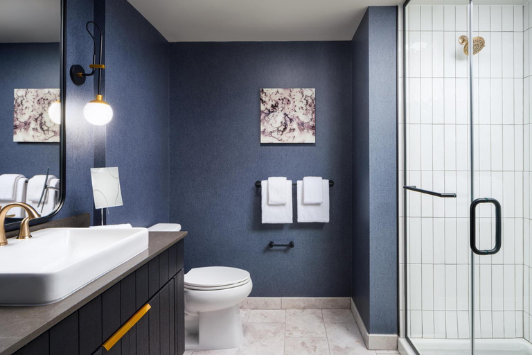 Bathroom 5, The Hoffmann Hotel Basalt Aspen, Tapestry Collection by Hilton, Eagle