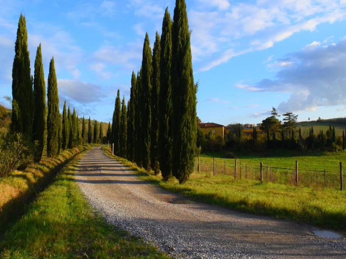 Public Area, Farmhouse in Vinci near Leonardos Birthplace, Florence