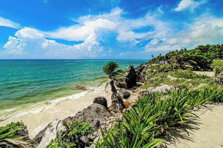 Others 2, Stylish Studio Near Akumal - Rooftop Pool & Wifi, Cozumel