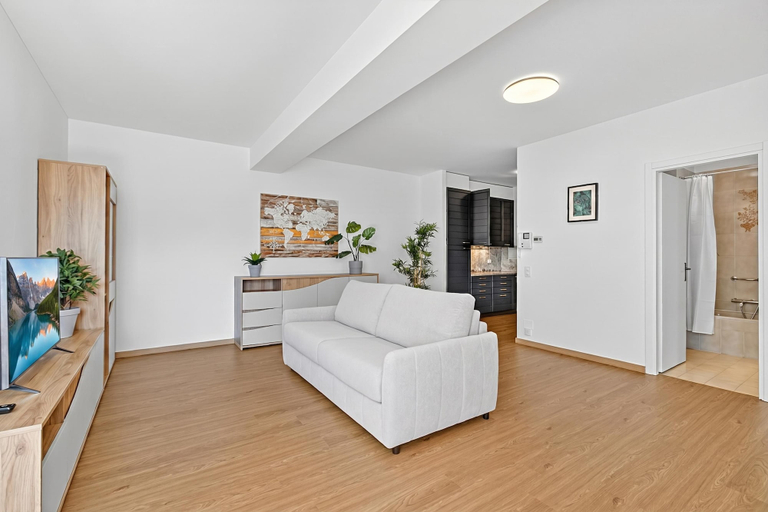Others 2, Lugano Sun & View Apartment for 4, Lugano