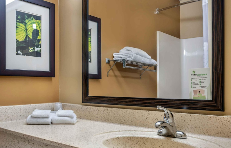 Bathroom 4, Extended Stay America Orlando Southpark Commodity, Orange