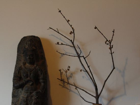 Others 5, Yanqing Shanju Inn, Dali Bai