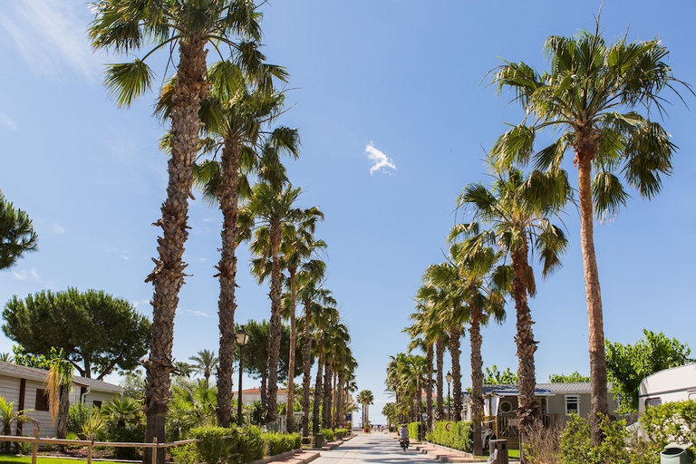 Others 5, Camping Vendrell Platja, Tarragona