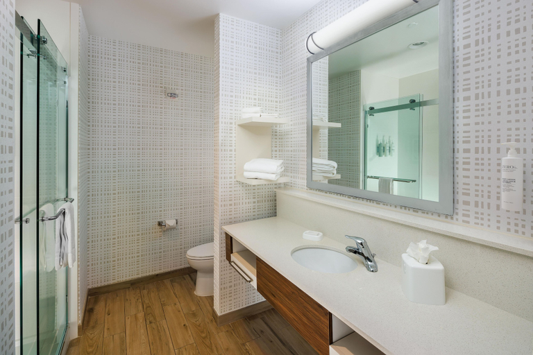 Bathroom 4, Hampton Inn & Suites Asheville Biltmore Village, Buncombe