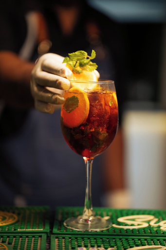 Food & Drinks 5, The Raas Mahal, Jaipur