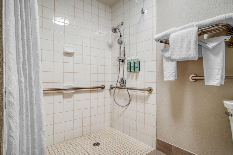 Bathroom 4, Best Western Flagship Inn, Jackson