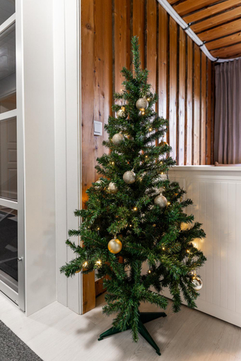 Others 3, Your home away from home!, Lapland