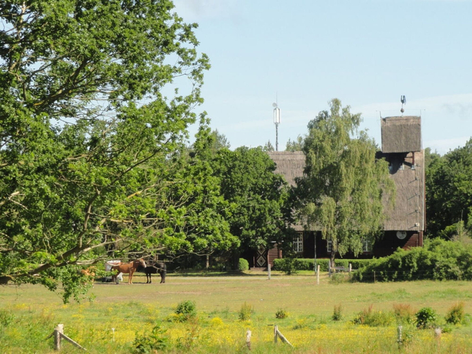 Others 4, Ankerhaus-darss, Vorpommern-Rügen