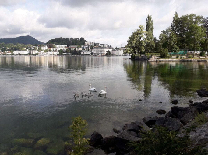 Others 2, Ilse Pesendorfer, Gmunden