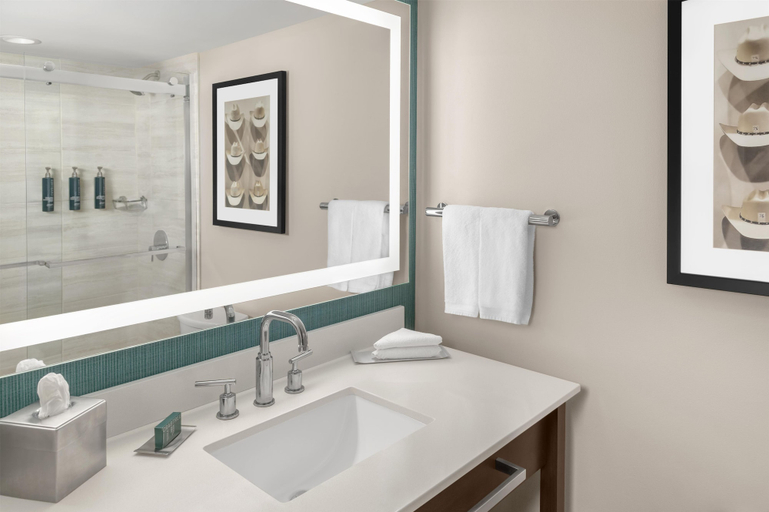 Bathroom 5, DoubleTree by Hilton Lubbock University Area, Lubbock