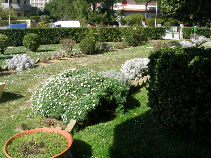 Others 5, Oasi Mare, Ancona