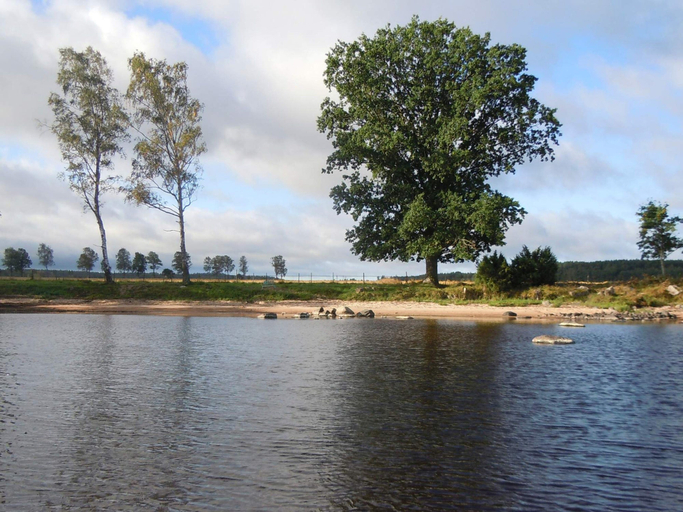 Others 3, 6 Person Holiday Home in Hova, Gullspång