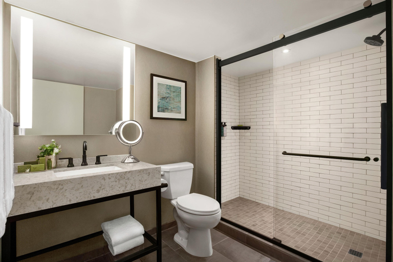 Bathroom 5, Hotel Alba, Tapestry Collection by Hilton, Hillsborough