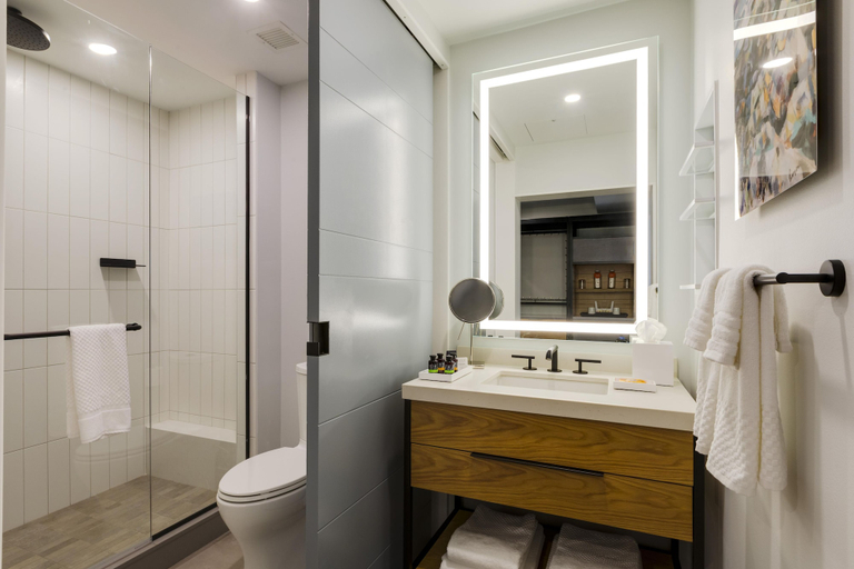 Bathroom 5, Canopy by Hilton Portland Waterfront, Cumberland