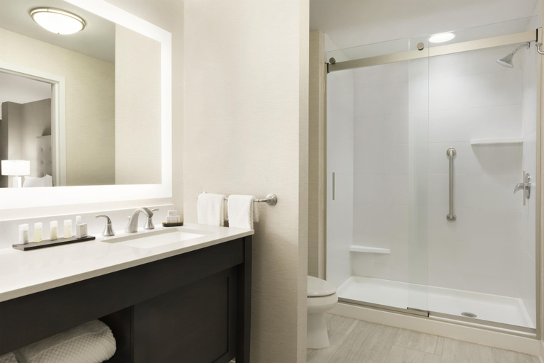 Bathroom 4, Embassy Suites by Hilton Greenville Downtown Riverplace, Greenville