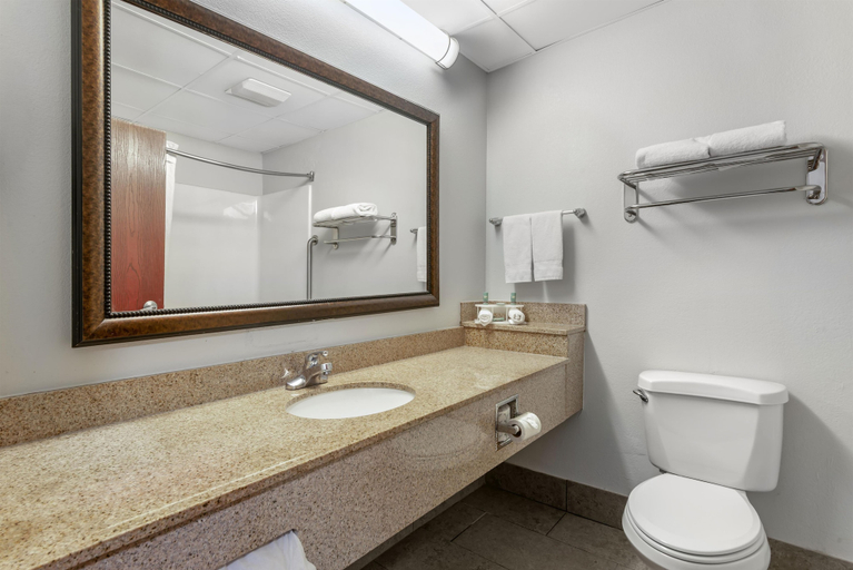 Bathroom 3, Best Western Hiram Inn & Suites, Paulding