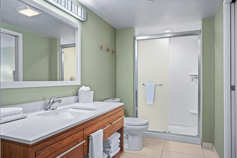 Bathroom 4, Home2 Suites by Hilton Milwaukee Airport, Milwaukee