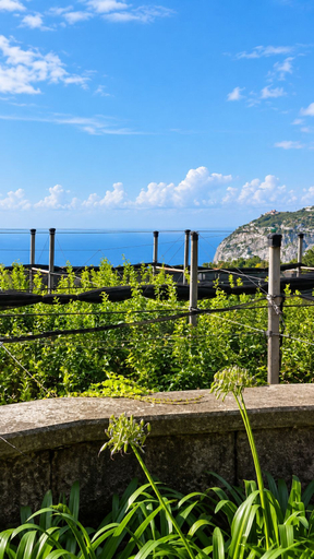 Others 5, De Vivo Realty - Villa Teresa, Napoli